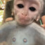 !Rck