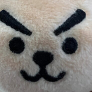 以卵击石 不自量力