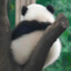 小风滴滴的吹
