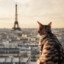 Monsieur Meow