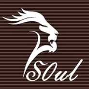 S0ul