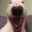walter