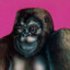 ApeMonkeyMonkey