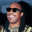 STEVIE WONDER