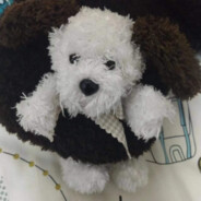 18岁纯情男高怎么会喜欢