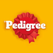 Pieselzxz | Pedigree lover