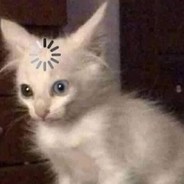 bussy? - steam id 76561198041890643