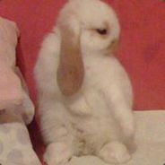Quistis * - steam id 76561197965500333