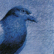 Я ЕБАШУ СОЛЬ