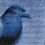 B1each-