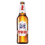 miko100iq ŻYWIEC ENJONER