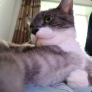 深山老林有杆枪