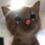 眠羊
