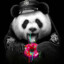 Black_Panda_Q8