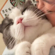 电脑玩家张二宝