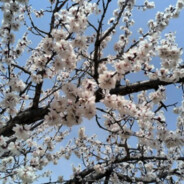 老年突破手的退休生活