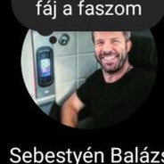 ♿Fitymablankoló♿ avatar