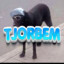 Tjorbem