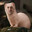 Eddy Cue