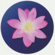 圣爱音天下第一