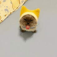 Avatar snapshot