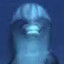Dolphn
