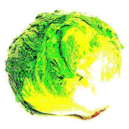 BigLettuce avatar