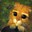 .Kater