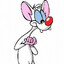 el pinky