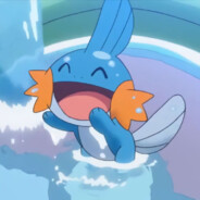 mudkip