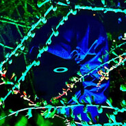 w3xd - steam id 76561198029026588