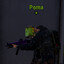 Poma