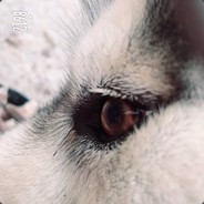 先有我后有天，反向甩狙R神仙