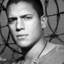 Michael Scofield