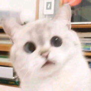 百万少女的春梦