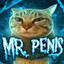 mr. penis