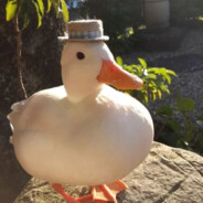 QuackWifHat