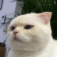 伯乐看了都说好马