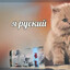 Дикая Овуляция