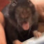 👅👅👅