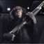 trunk monkey