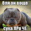 Avatar of player шнобиль альтухи