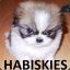 Habiskies