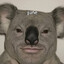 biggiecheese2001234