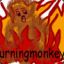 Burningmonkey