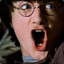 El sucio potter