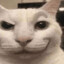 Much2much