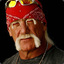 The Hulk Hogan Experience