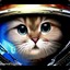 Space Cat