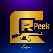 X4 Steam avatar